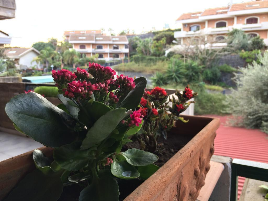 Mulinia Residence By Speaksicily Acireale Dış mekan fotoğraf